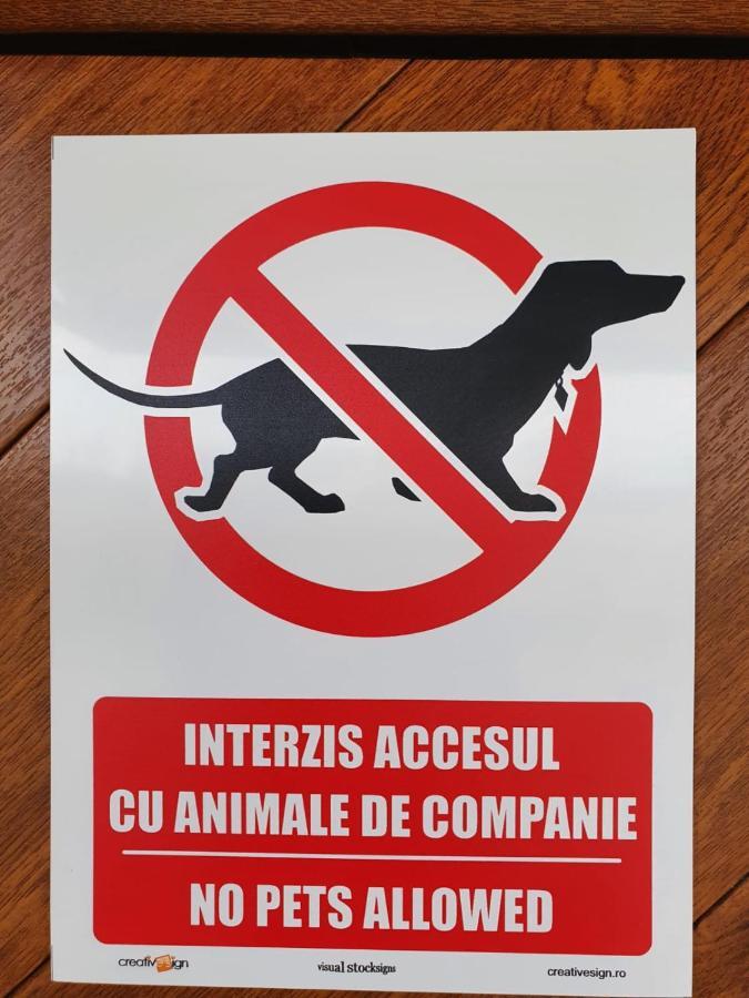 Casa Saga Hotel Gura Humorului Luaran gambar
